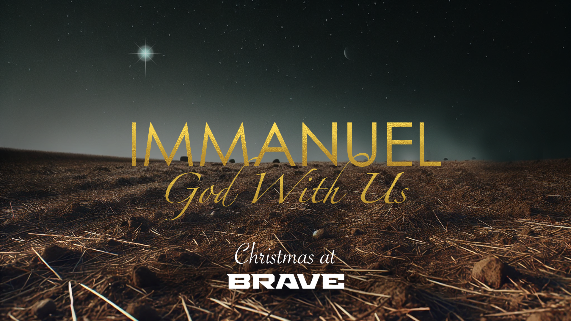 BRAVE-Christmas-2024-LED-Series-Graphic.png